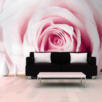 Fototapetas Artgeist Rose Maze XLNEW011205SAM, 175 cm x 245 cm