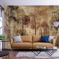 Fototapetas Artgeist Lost In The Woods, 280 cm x 400 cm