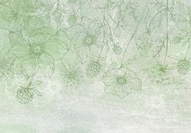 Fototapetas Artgeist Flowery Meadow - Nature With Field Flowers Lineart On Green Background, 140 cm x 140 cm
