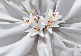 Fototapetas Artgeist Sensual Lilies 4XLFT1495SAM, 175 cm x 245 cm