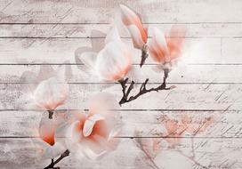 Fototapetas Artgeist Subtlety Of The Magnolia, 140 cm x 200 cm