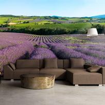 Fototapetas Artgeist Lavender Fields XXLFTNT0948SAM, 231 cm x 294 cm