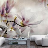 Fototapetas Artgeist Subtle Magnolias LFT1848, 140 cm x 200 cm