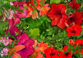 Fototapetas Artgeist Lilac Serenade, 105 cm x 150 cm