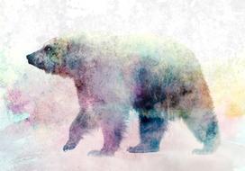 Fototapetas Artgeist Lonely Bear 2XLFT1924, 210 cm x 300 cm
