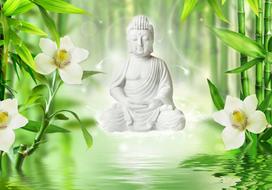 Fototapetas Artgeist Buddha And Nature, 70 cm x 70 cm