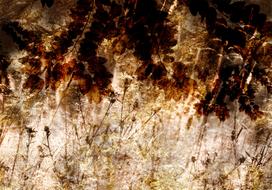 Fototapetas Artgeist Retro Meadow LFT2250, 140 cm x 140 cm