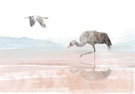 Fototapetas Artgeist Cranes Over The Water, 70 cm x 100 cm