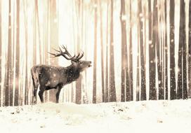 Fototapetas Artgeist Deer In The Snow (Sepia) 5XLFT1869SAM, 315 cm x 441 cm