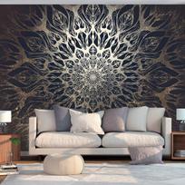 Fototapetas Artgeist Spider Web (Brown), 245 cm x 350 cm