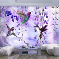Fototapetas Artgeist Flying Hummingbirds (Violet), 245 cm x 350 cm