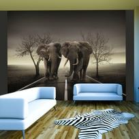 Fototapetas Artgeist City Of Elephants FTNT0798SAM, 270 cm x 343 cm