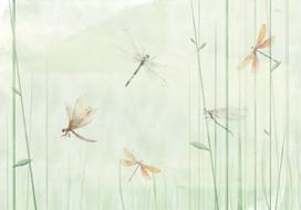 Fototapetas Artgeist Dragonflies In The Meadow, 280 cm x 400 cm