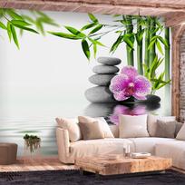 Fototapetas Artgeist Water Garden, 175 cm x 250 cm