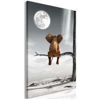 Reprodukcija Artgeist Elephant And Moon DKNW0333PWD, 40 cm x 60 cm