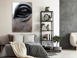 Reprodukcija Artgeist Honest Eyes N9553-XLPWD, 60 cm x 90 cm