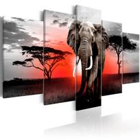 Reprodukcija Artgeist Lonely Elephant N7051, 100 cm x 50 cm