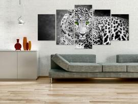 Reprodukcija Artgeist Leopard - Black&White N3597-DKX, 200 cm x 100 cm