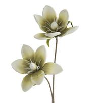 Dirbtinė gėlė, magnolija Flore 748, žalia sp., 70 cm x 17 cm