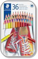 Spalvoti pieštukai Staedtler, 36 vnt.