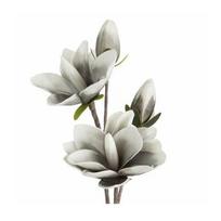 Dirbtinė gėlė, magnolija Flore 667, blyški pilka sp., 59 cm x 17 cm