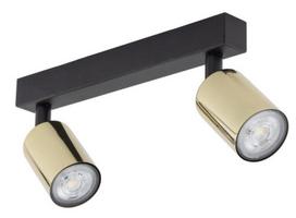 Šviestuvas nukreipiamasis TK Lighting Top, GU10, 2 x 10 W, aukso sp.