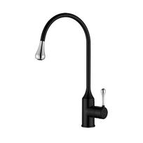 Virtuvinis maišytuvas Invena Pingo BZ-55-L08-L, juoda sp./chromo sp.
