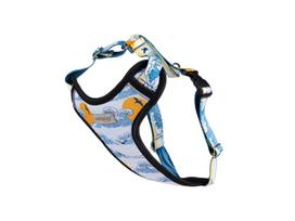 Petnešos šunims Amiplay Discovery BeNature, mėlyna sp., 450 - 650 mm x 25 mm, L