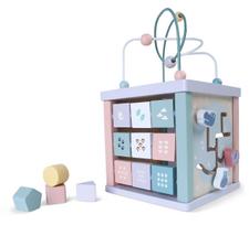 Lavinamasis kubas EcoToys