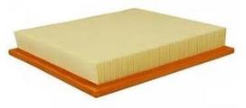 Oro filtras Nilfisk Floortec 350
