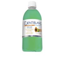Burnos skalavimo skystis Dentiblanc Mouthwash, mėtų skonio, 500 ml