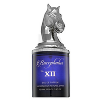Kvapusis vanduo Armaf Bucephalus XII Blue, 100 ml
