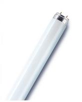 Lemputė Osram Liuminescencinė, T8, 3000 °K, G13, 58 W, 5200 lm