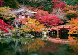 Dėlionė Ravensburger Ogród Daigo-Ji, Kyoto, Japonia, 70 cm x 50 cm, 1000 vnt.