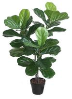 Dirbtinis augalas vazone Home4you Fiddle, žalia sp., 100 cm
