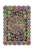 Kiliminis takas Conceptum Hypnose HMNT972, įvairių spalvų, 300 cm x 100 cm