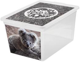 Daiktadėžė su dangčiu, žaislams Branq X Box Deco, 15 l, skaidri sp./pilka sp., 38.5 x 28.5 x 20 cm