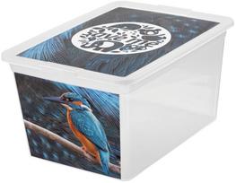 Daiktadėžė su dangčiu, žaislams Branq X Box Deco Kingfisher, 15 l, skaidri sp./įvairių spalvų, 38.5 x 28.5 x 20 cm
