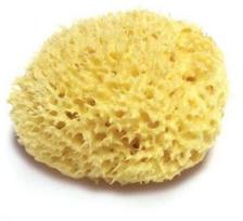 Kempinė vaikams Bellini, geltona sp., 10 cm