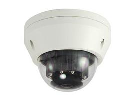 Kupolinė kamera LevelOne FCS-3306