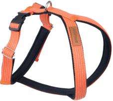 Petnešos šunims Amiplay Cotton Grand Soft, oranžinė sp., 500 - 620 mm, 50-62