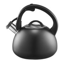 Arbatinukas su švilpuku Ambition Hudson, 3 l, juoda sp.