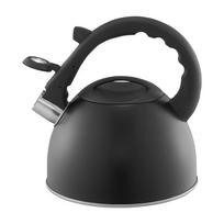 Arbatinukas su švilpuku Ambition Spark, 2.5 l, juoda sp.