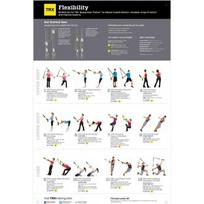 Kūno lankstumo treniruočių plakatas TRX Poster V2 All Body Flexibility, 86 cm