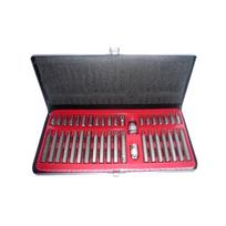 Antgalių rinkinys HEX-TORX