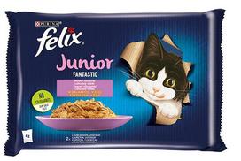 Šlapias kačių maistas Felix Junior Rural flavors, vištiena/lašiša, 0.085 kg, 4 vnt.