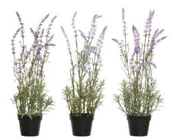 Dirbtinė gėlė, levanda, violetinė sp./įvairių spalvų, 46 cm