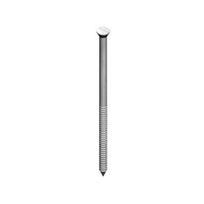 Vinys dailylentėms Arras, 25 mm x 1.4 mm, 100 vnt.