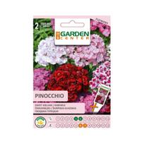 Sėklos Garden Center gvazdikas Pinocchio, 0.5 g