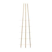 Augalo atrama Garden Center, 3 cm x 50 cm, 150 cm, bambukas